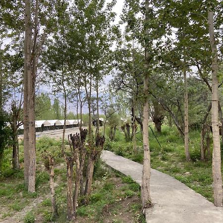 Ladakh Mountian Escape Camp By Lexstays Leh Exteriör bild